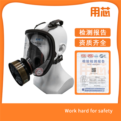 YX0401 防毒全面具